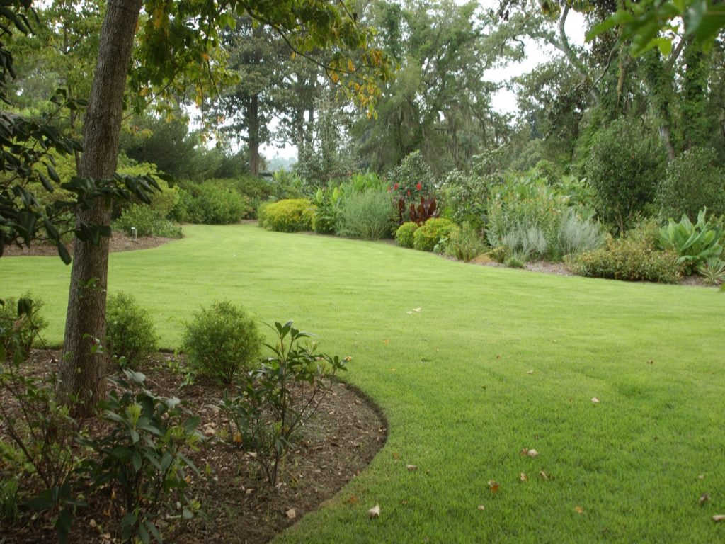 Image of a lawn