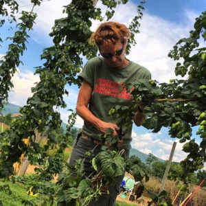 Cover photo for NC State Hops Conference in Asheville - Meet the Speakers