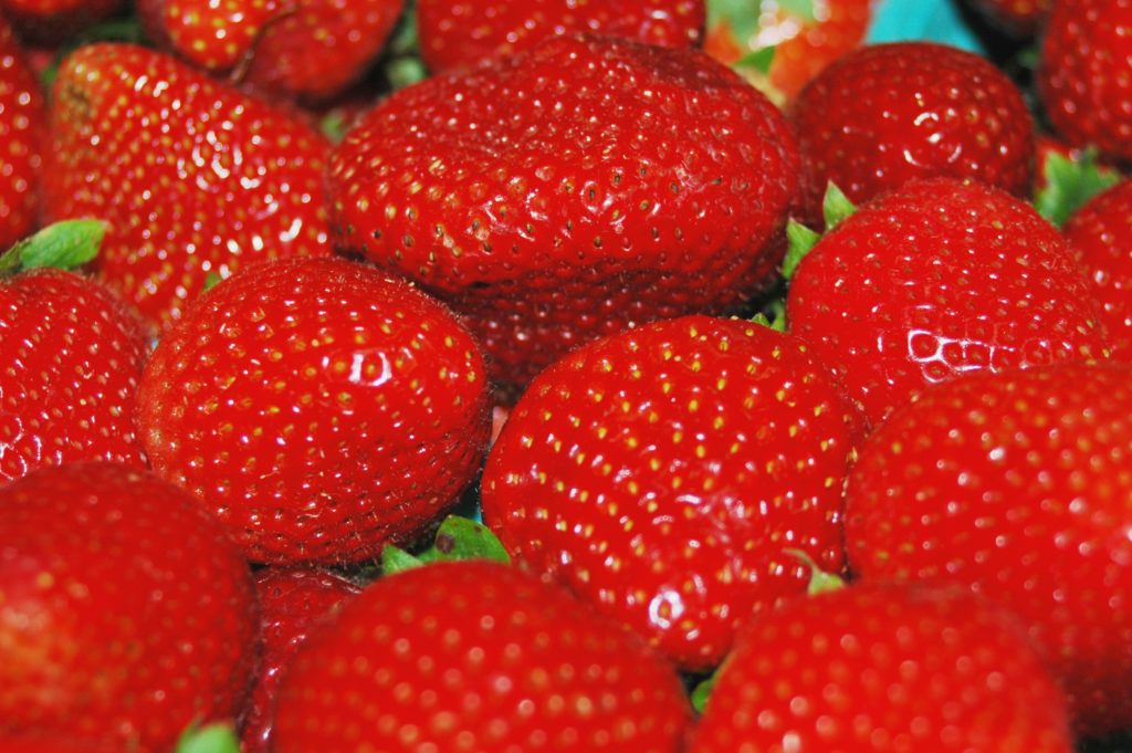 NC Strawberries at Farmers Market