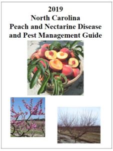 Cover photo for 2019 NC Peach and Nectarine Disease and Pest Management