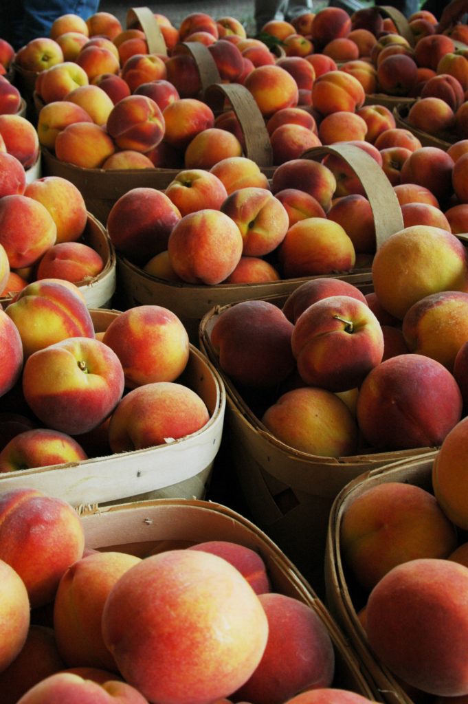 Locally Grown NC Peaches at Farmers Market