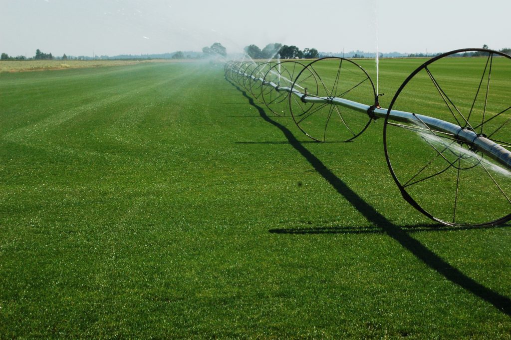 irrigation system