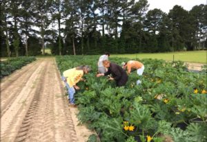 workers in the field