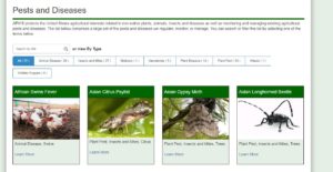 APHIS Pest Disease Database