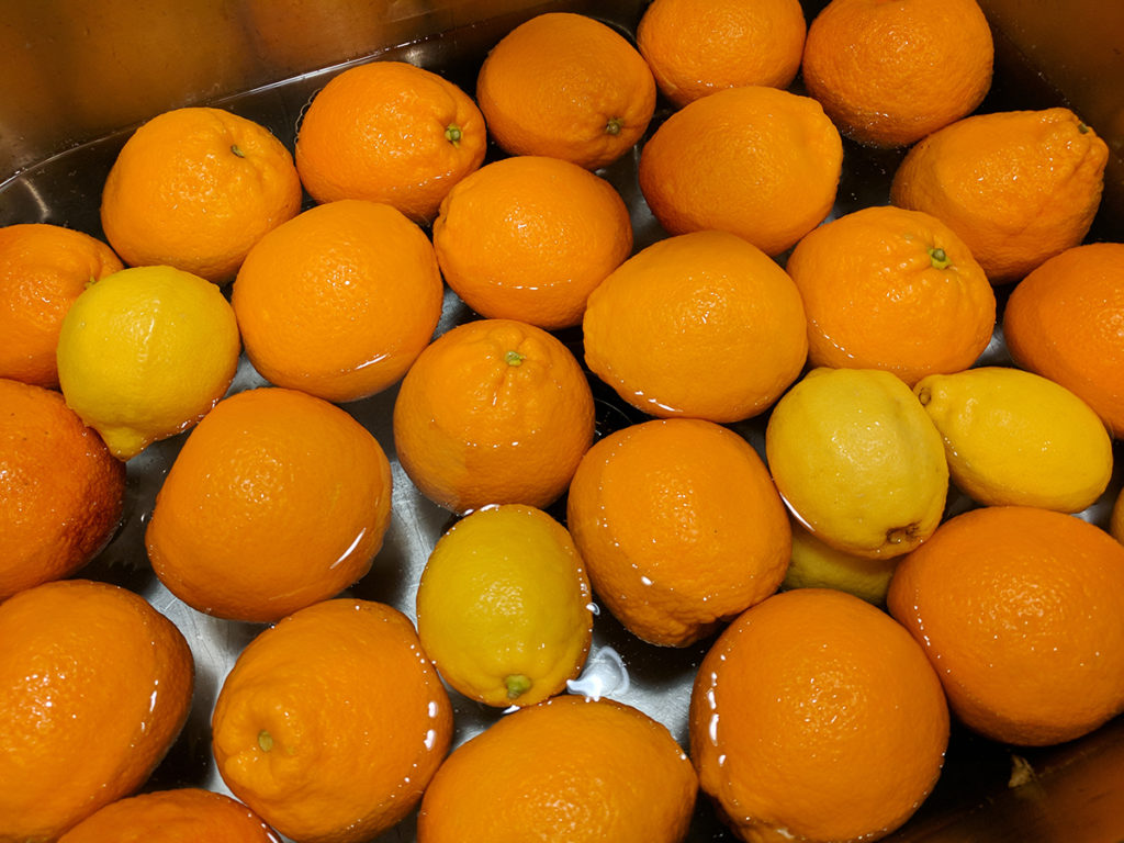 Lemons and blood oranges waiting to be prepped.