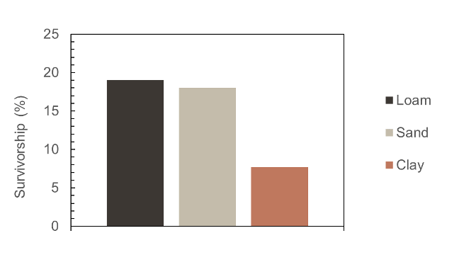 graph showing percent pupal survivorship in different soil types. Survivorship was nearly 20% in organic and sandy soil, but less than 10% in a clay soil